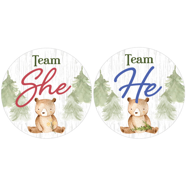 Woodland Bear: Gender Reveal Party - We Can Bearly Wait, Team He or She - 40 Stickers - Distinctivs Party