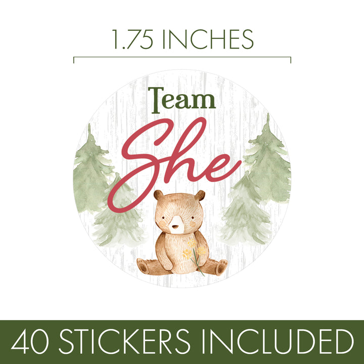 Woodland Bear: Gender Reveal Party - We Can Bearly Wait, Team He or She - 40 Stickers - Distinctivs Party