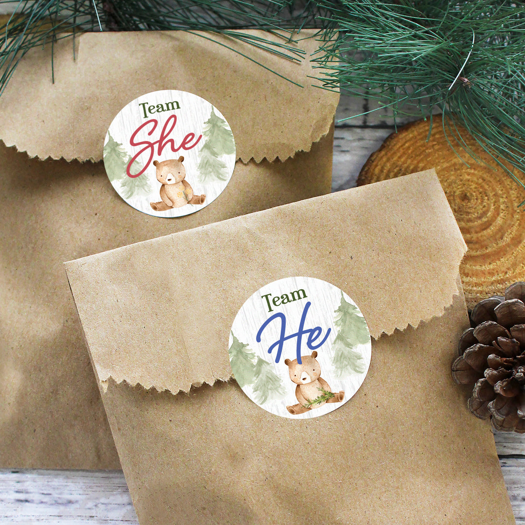 Woodland Bear: Gender Reveal Party - We Can Bearly Wait, Team He or She - 40 Stickers - Distinctivs Party