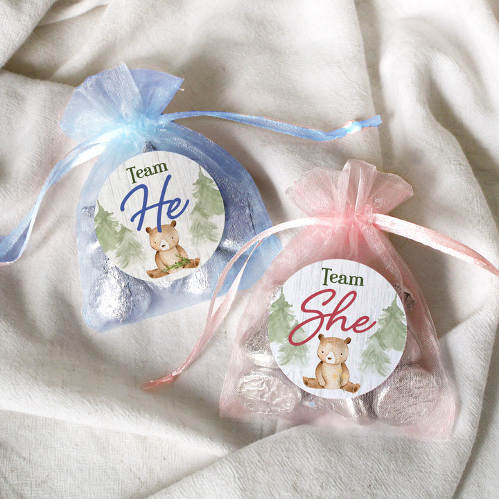 Woodland Bear: Gender Reveal Party - We Can Bearly Wait, Team He or She - 40 Stickers - Distinctivs Party