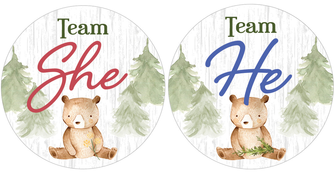 Woodland Bear: Gender Reveal Party - We Can Bearly Wait, Team He or She - 40 Stickers - Distinctivs Party