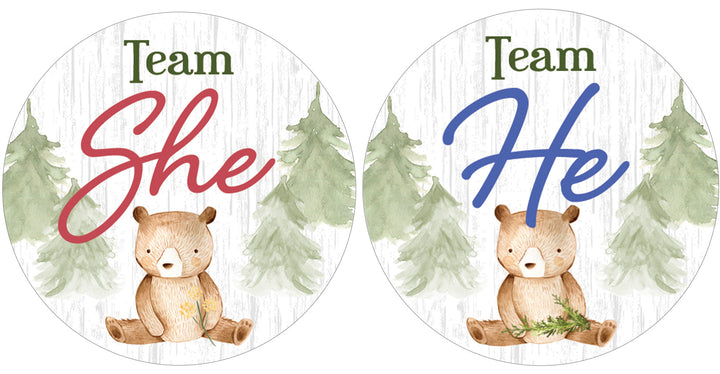 Woodland Bear: Gender Reveal Party - We Can Bearly Wait, Team He or She - 40 Stickers - Distinctivs Party