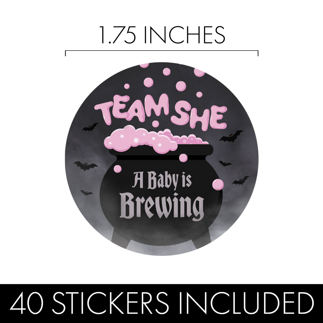 Halloween Gender Reveal Party: Pink and Blue Baby is Brewing- Baby Shower - Team He or Team She Voting - 40 Stickers - Distinctivs Party