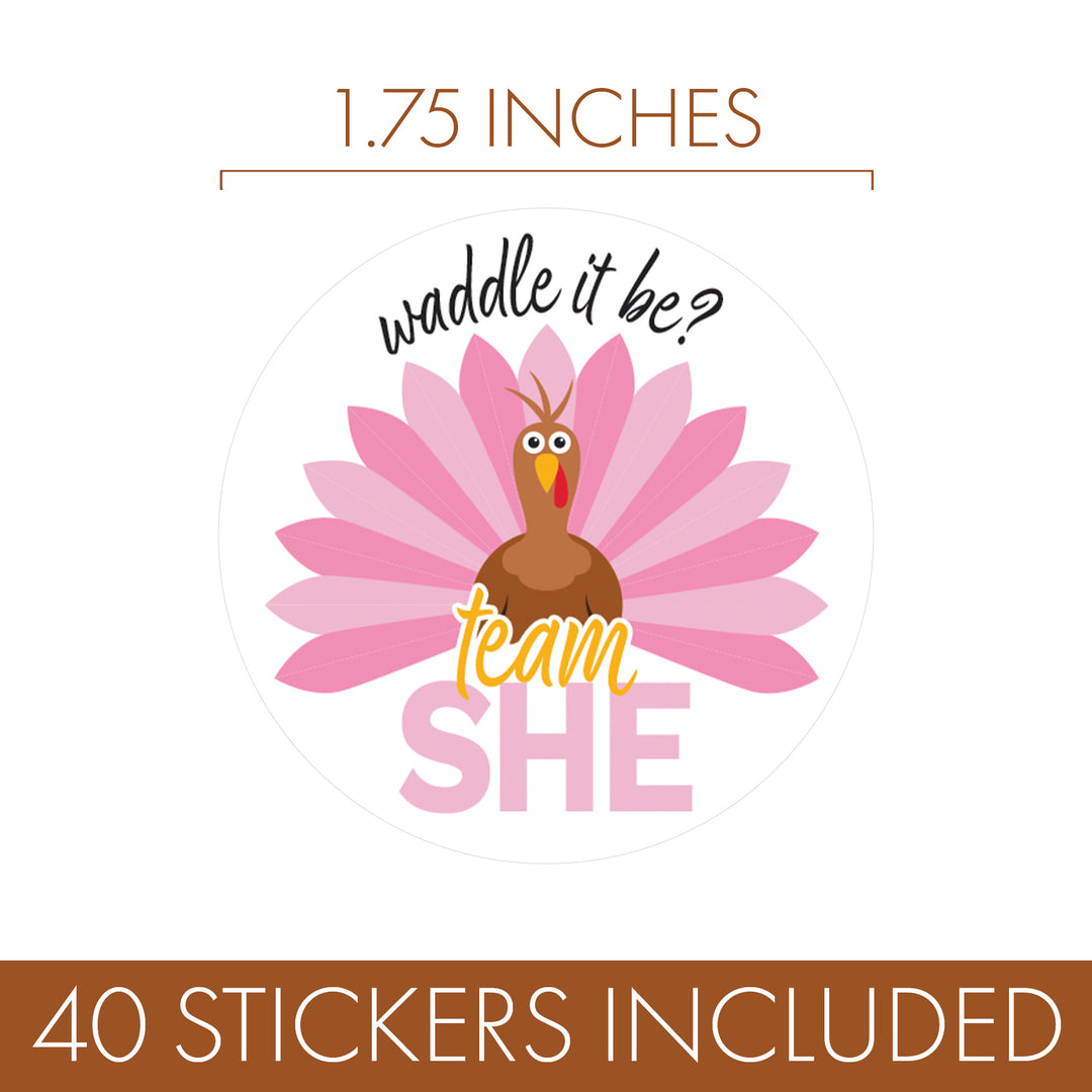 Thanksgiving Turkey Gender Reveal Stickers  - Team He or She - 40 Stickers