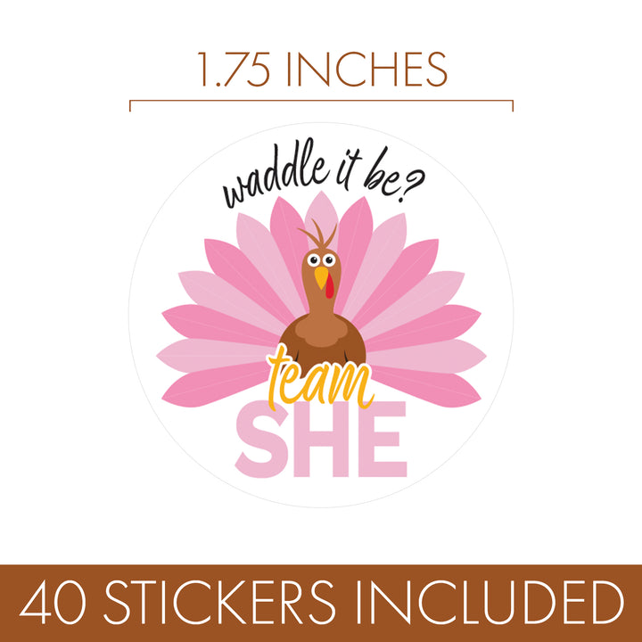 Thanksgiving Turkey Gender Reveal Stickers  - Team He or She - 40 Stickers