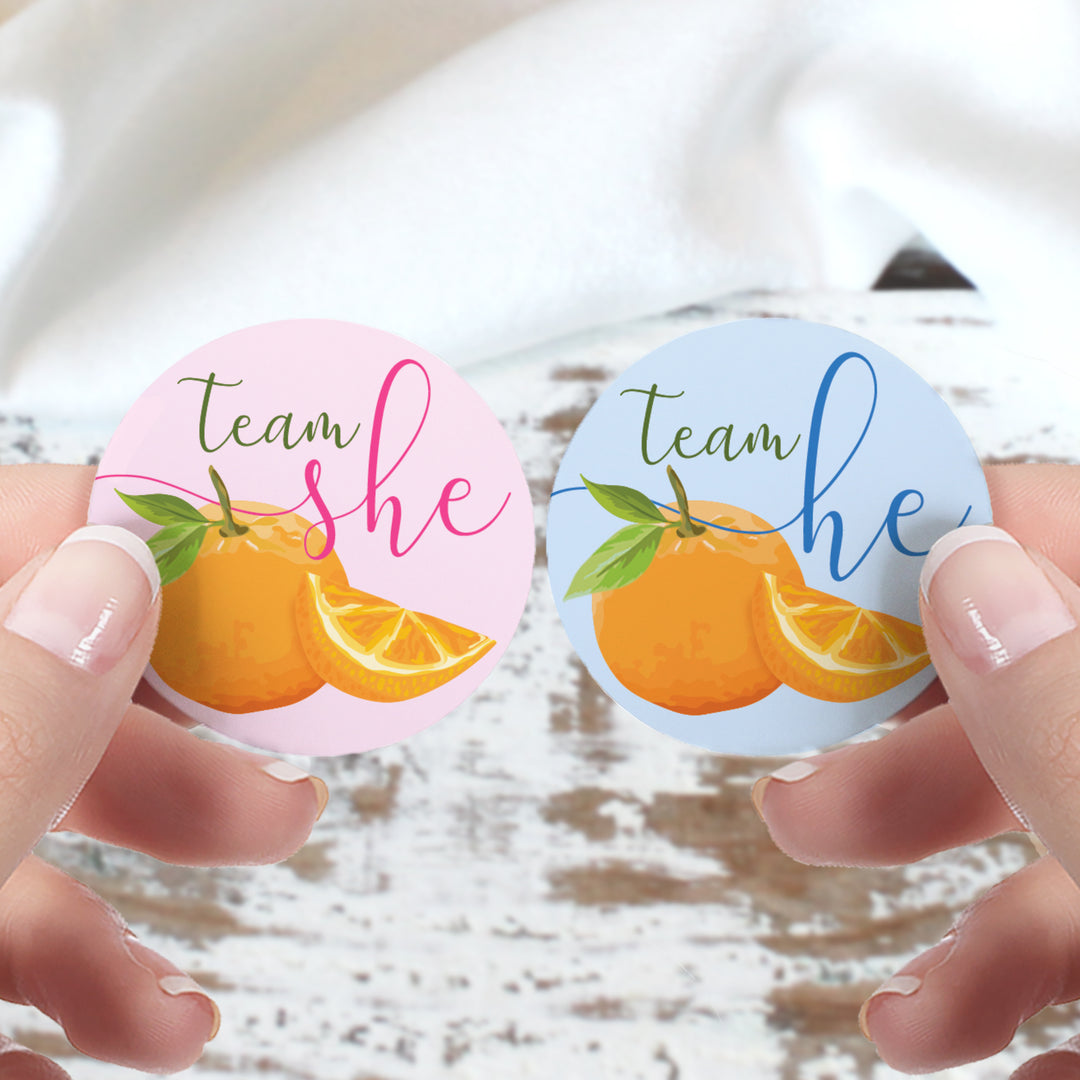 Little Cutie: Baby Gender Reveal Party - Team He or Team She Stickers - 40 Stickers