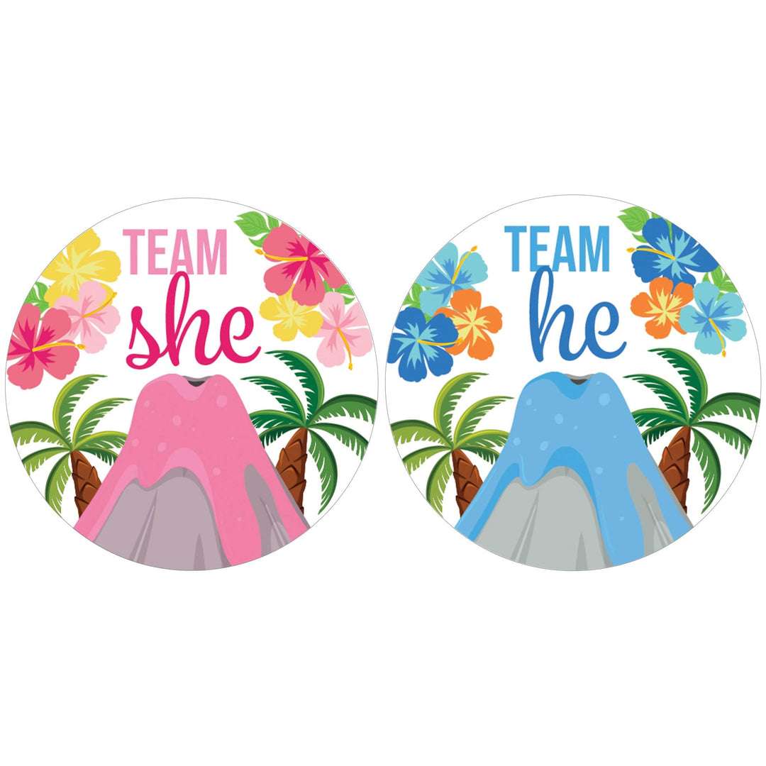 Hawaiian Luau: Gender Reveal Party - Team He and Team She Voting Stickers - 40 Stickers - Distinctivs Party