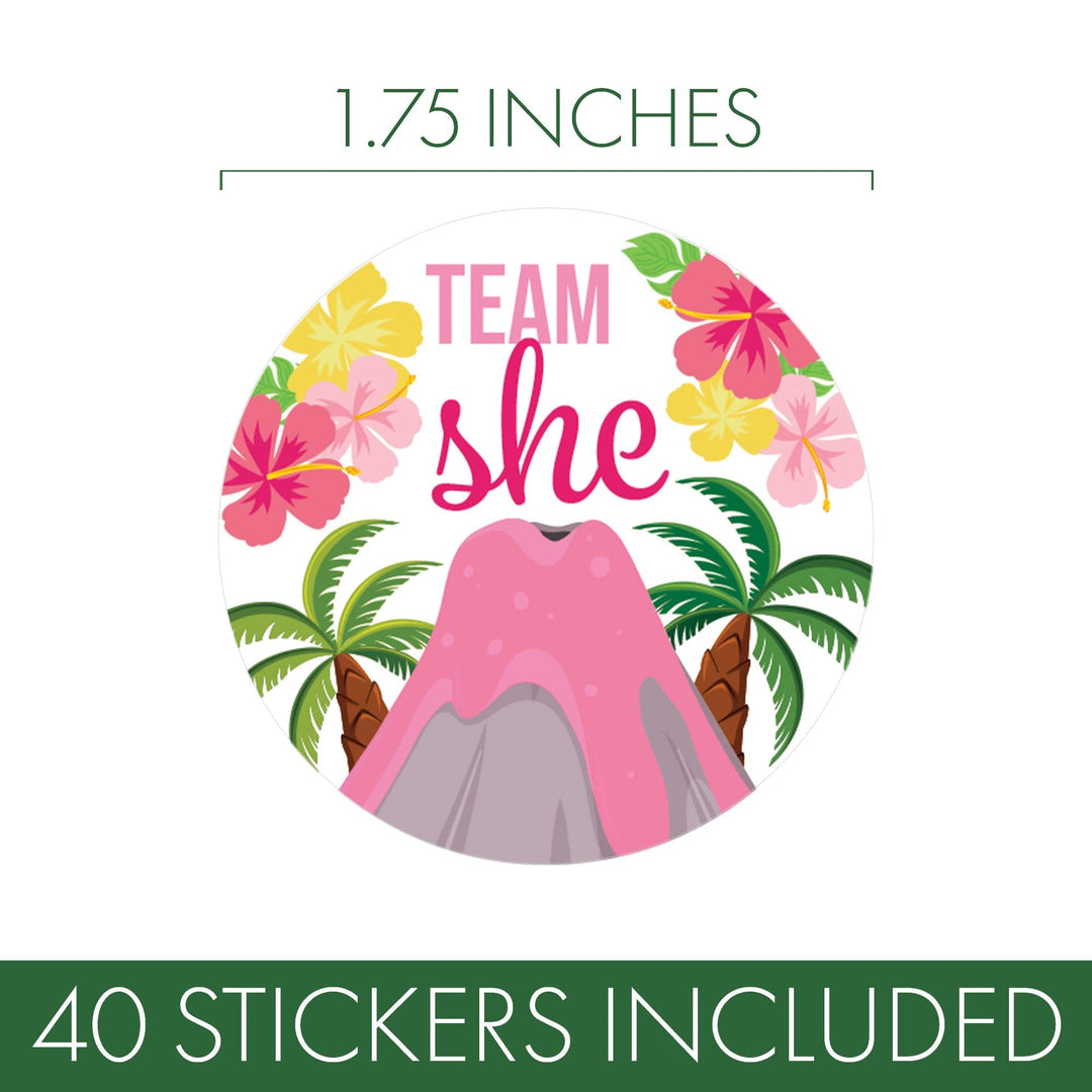 Hawaiian Luau: Gender Reveal Party - Team He and Team She Voting Stickers - 40 Stickers - Distinctivs Party
