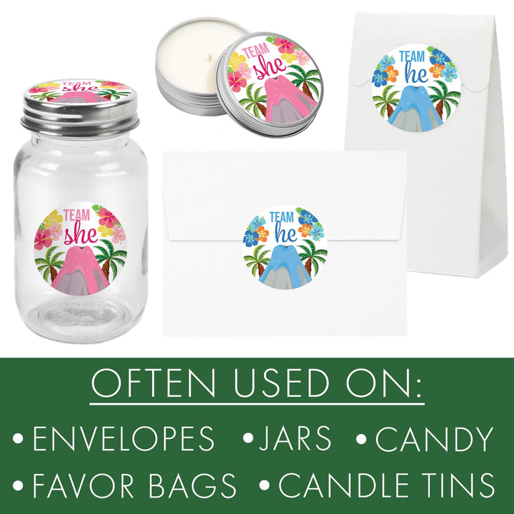 Hawaiian Luau: Gender Reveal Party - Team He and Team She Voting Stickers - 40 Stickers - Distinctivs Party