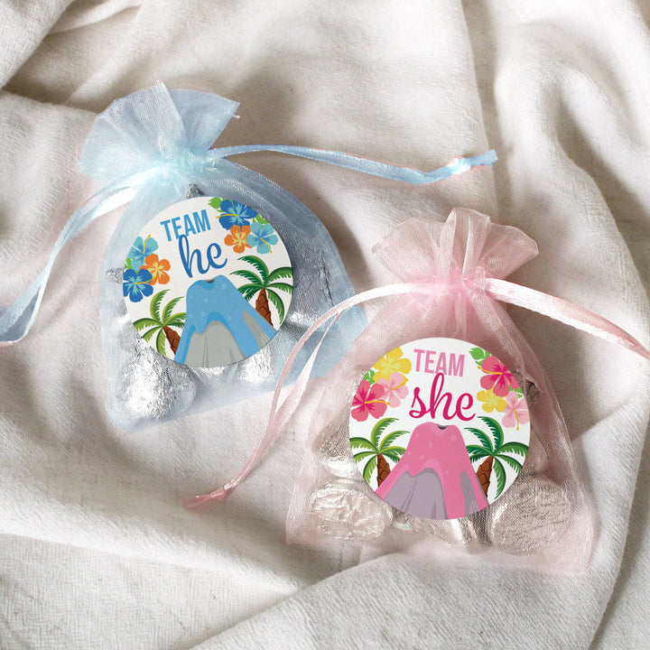 Hawaiian Luau: Gender Reveal Party - Team He and Team She Voting Stickers - 40 Stickers - Distinctivs Party