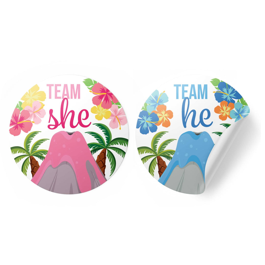 Hawaiian Luau: Gender Reveal Party - Team He and Team She Voting Stickers - 40 Stickers - Distinctivs Party