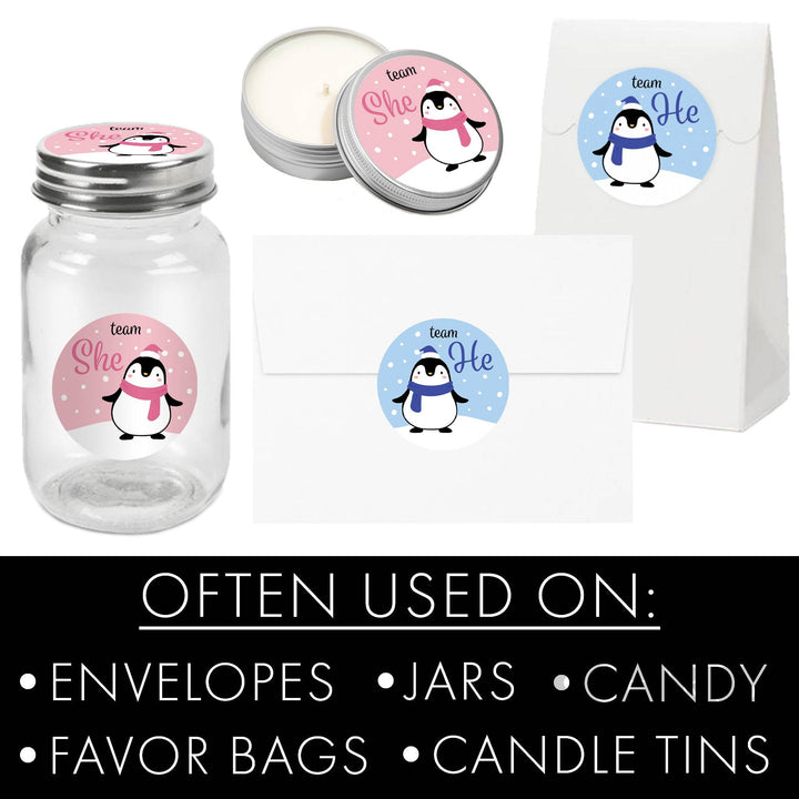 Christmas Gender Reveal Stickers: Penguin Party - Team He or Team She Stickers - 40 Stickers - Distinctivs Party