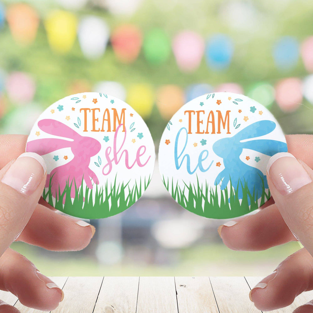 Easter Gender Reveal Party: Little Bunny -Team He or Team She Voting Stickers - 40 Stickers - Distinctivs Party