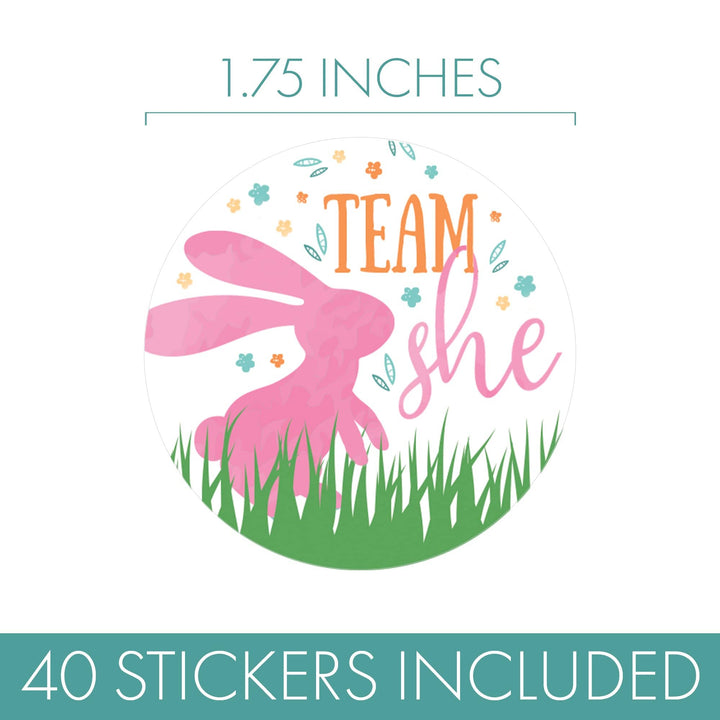 Easter Gender Reveal Party: Little Bunny -Team He or Team She Voting Stickers - 40 Stickers - Distinctivs Party