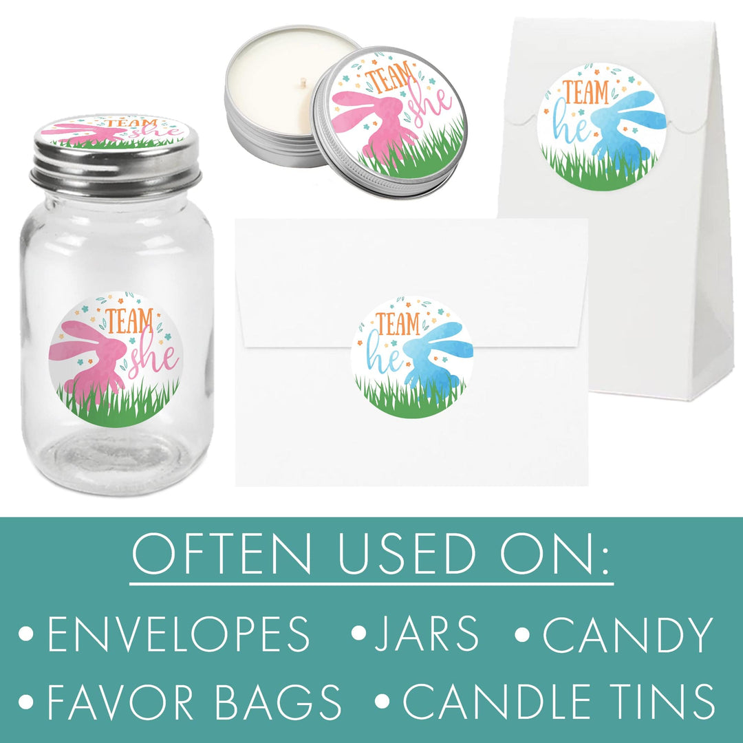 Easter Gender Reveal Party: Little Bunny -Team He or Team She Voting Stickers - 40 Stickers - Distinctivs Party