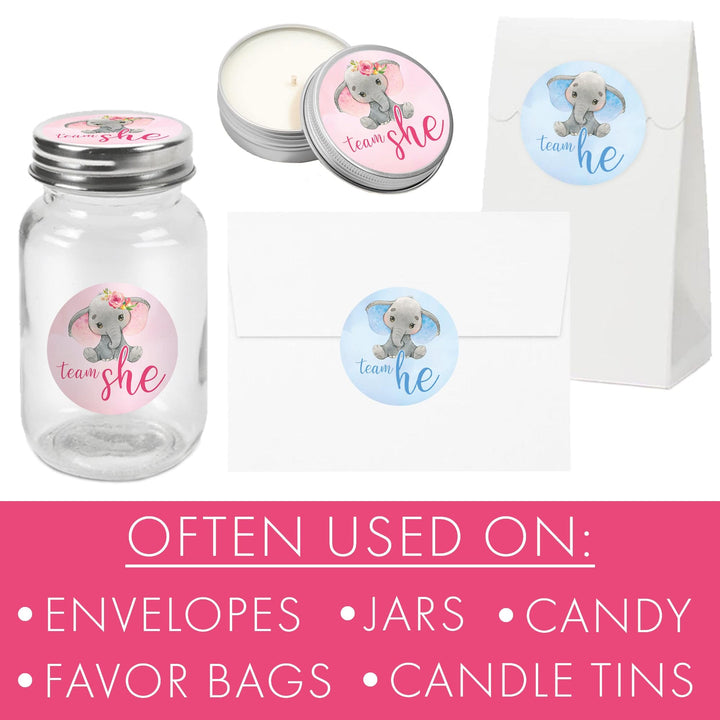 Elephant: Gender Reveal Party -Team He or Team She - 40 Stickers - Distinctivs Party