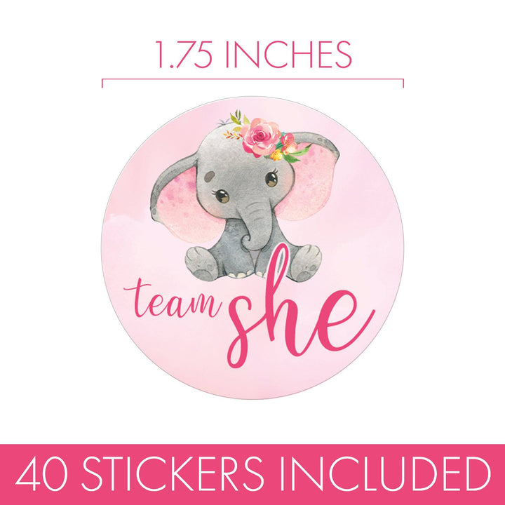Elephant: Gender Reveal Party -Team He or Team She - 40 Stickers - Distinctivs Party