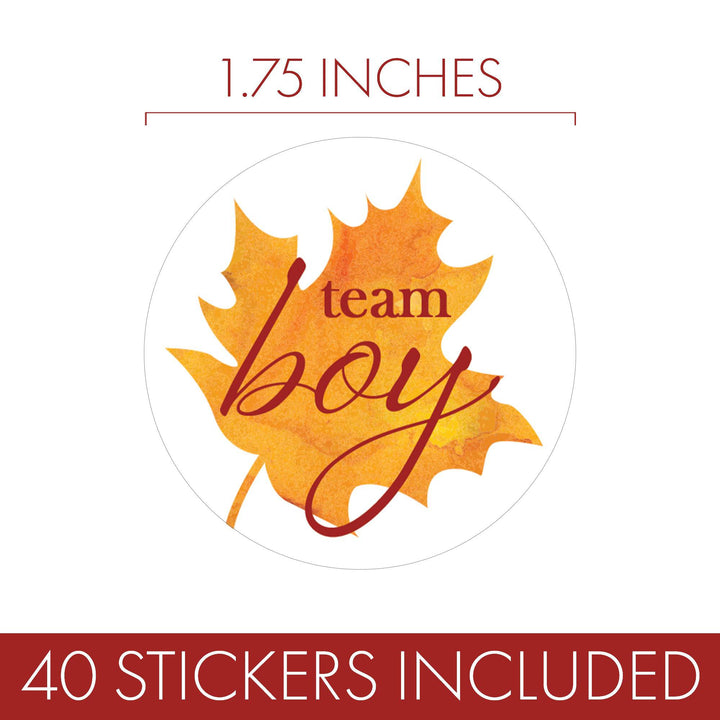 Fall Leaves: Gender Reveal Party - Baby Shower - Team Boy or Team Girl Stickers - 40 Stickers - Distinctivs Party