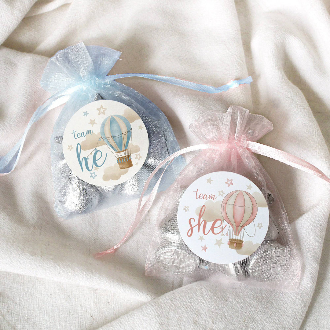 Hot Air Balloon: Gender Reveal Party - He or She  - 40 Stickers - Distinctivs Party