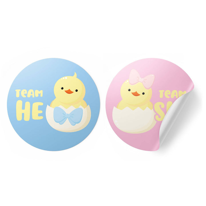 Little Chicks: Gender Reveal Party - Team He or Team She - 40 Stickers - Distinctivs Party