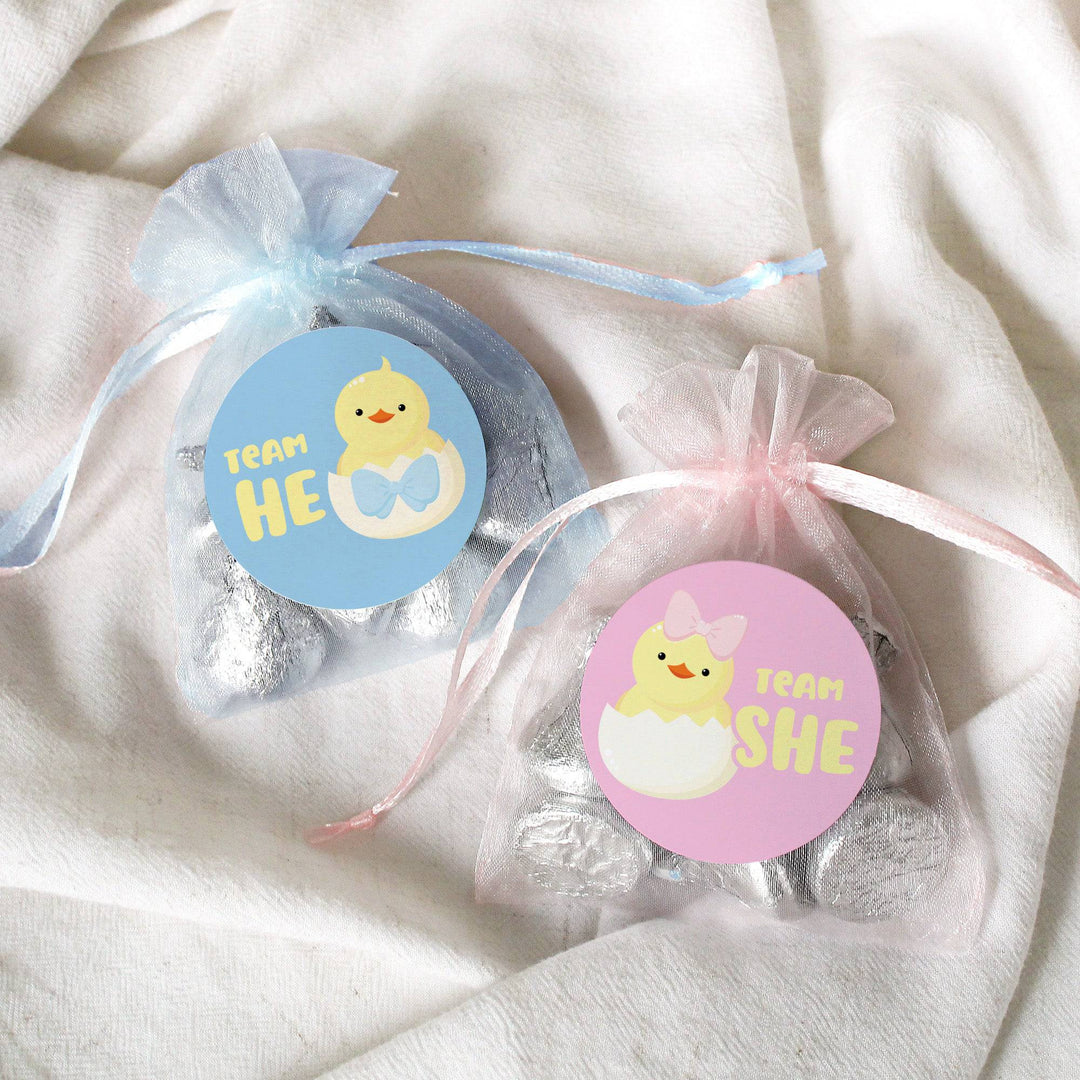 Little Chicks: Gender Reveal Party - Team He or Team She - 40 Stickers - Distinctivs Party
