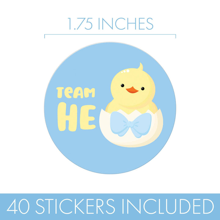 Little Chicks: Gender Reveal Party - Team He or Team She - 40 Stickers - Distinctivs Party