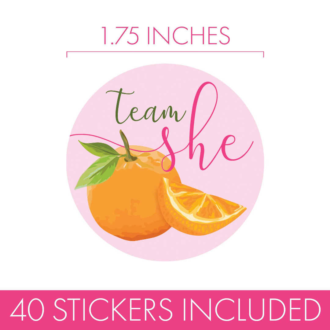 Little Cutie: Baby Gender Reveal Party - Team He or Team She Stickers - 40 Stickers - Distinctivs Party