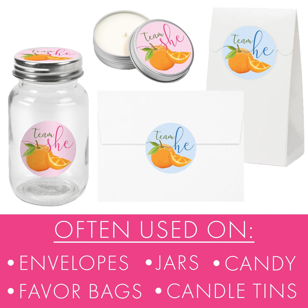 Little Cutie: Baby Gender Reveal Party - Team He or Team She Stickers - 40 Stickers - Distinctivs Party