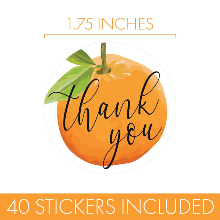 Little Cutie: Baby Shower Thank You Stickers - 40 Stickers - Distinctivs Party