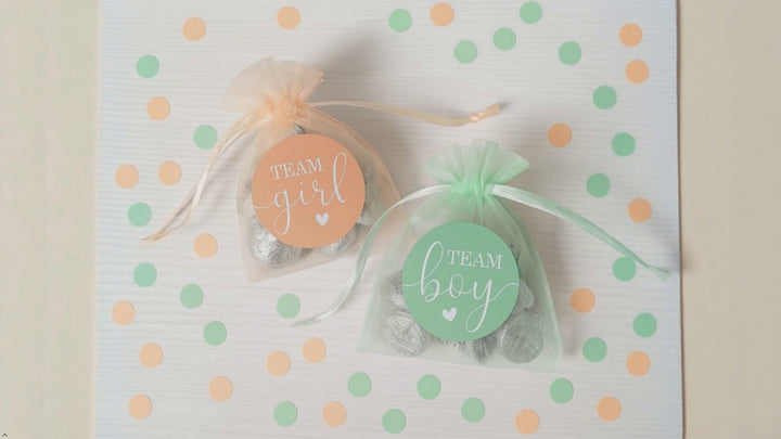 Gender Reveal Party: Mint and Peach - Team Boy or Team Girl Stickers - 40 Stickers
