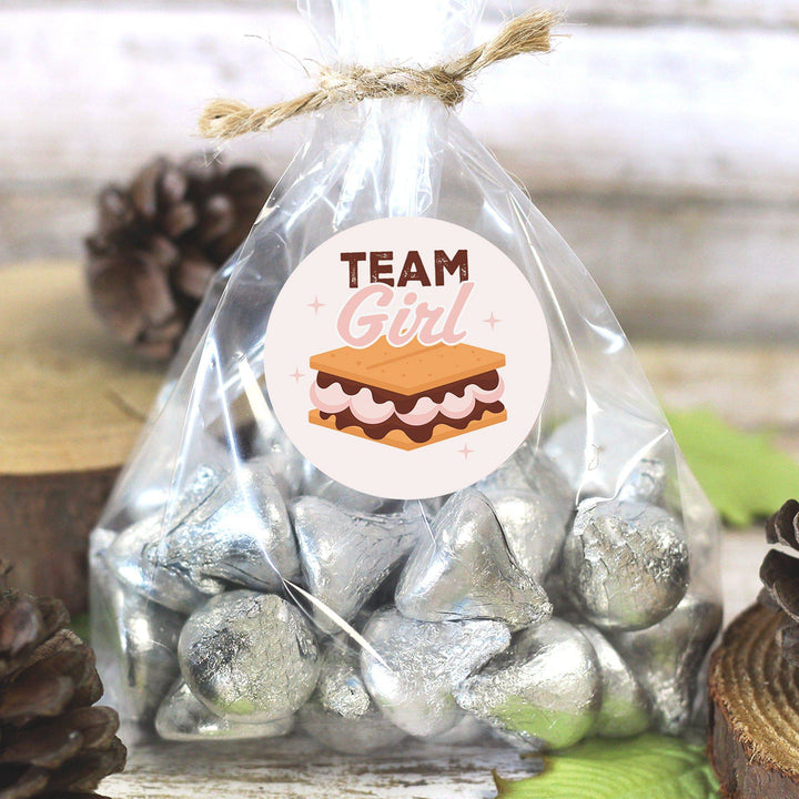 Smore Love: Gender Reveal Party - Girl or Boy  - 40 Stickers - Distinctivs Party
