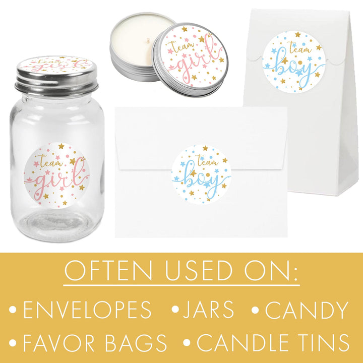 Twinkle Twinkle Little Star Gender Reveal Party - Team Boy or Girl - 40 Stickers - Distinctivs Party