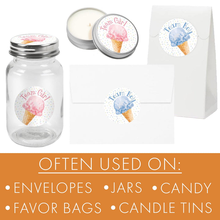 What’s the Scoop: Ice Cream- Gender Reveal Party - Team Boy or Girl - Voting Stickers - 40 Stickers - Distinctivs Party