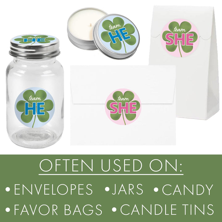 What Will Our Lucky Charm Be St. Patrick's Day Gender Reveal Stickers - 40 Stickers - Distinctivs Party