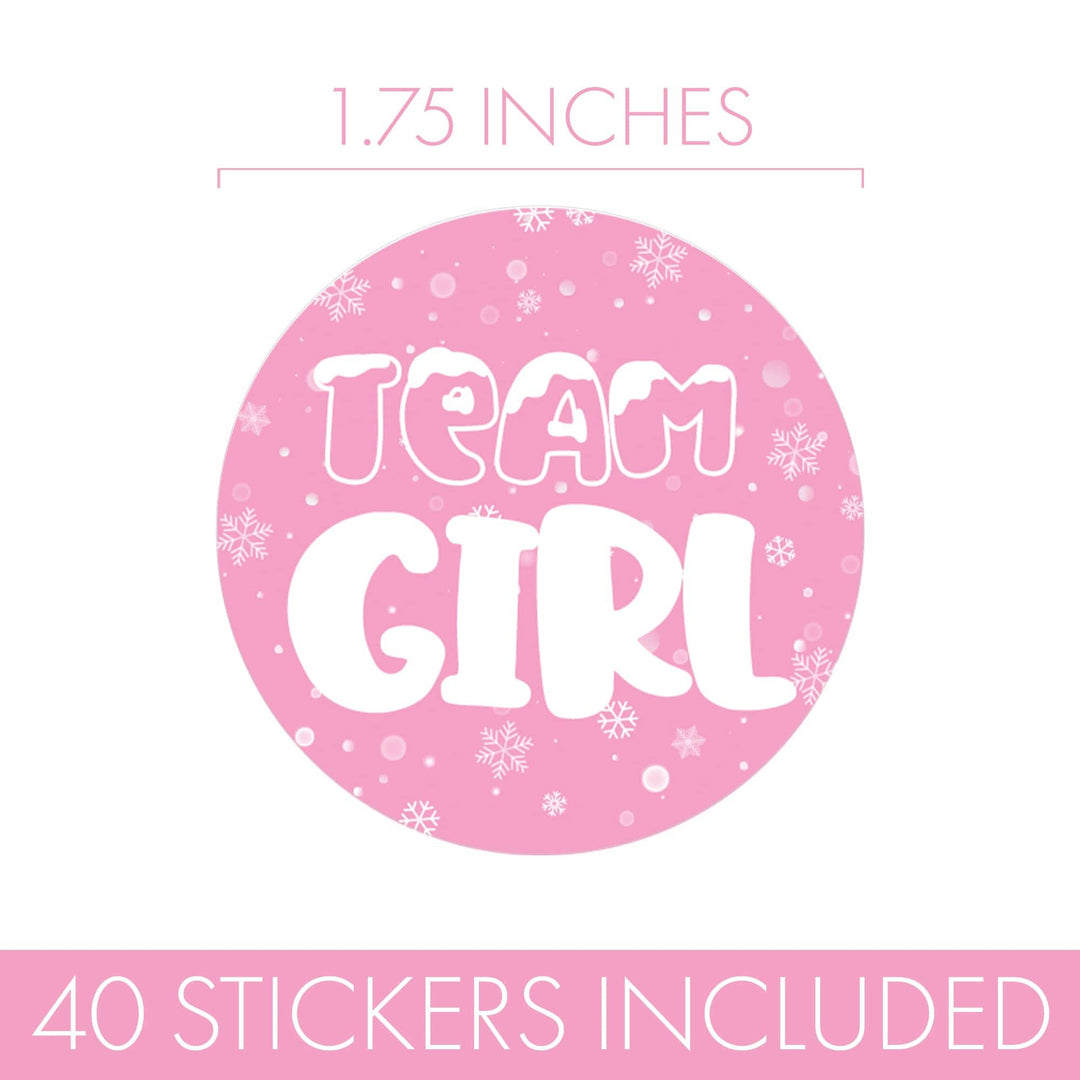 What Will Our Snowflake Be Winter Baby Gender Reveal Party - Blue or Pink Team Boy or Girl - 40 Stickers - Distinctivs Party
