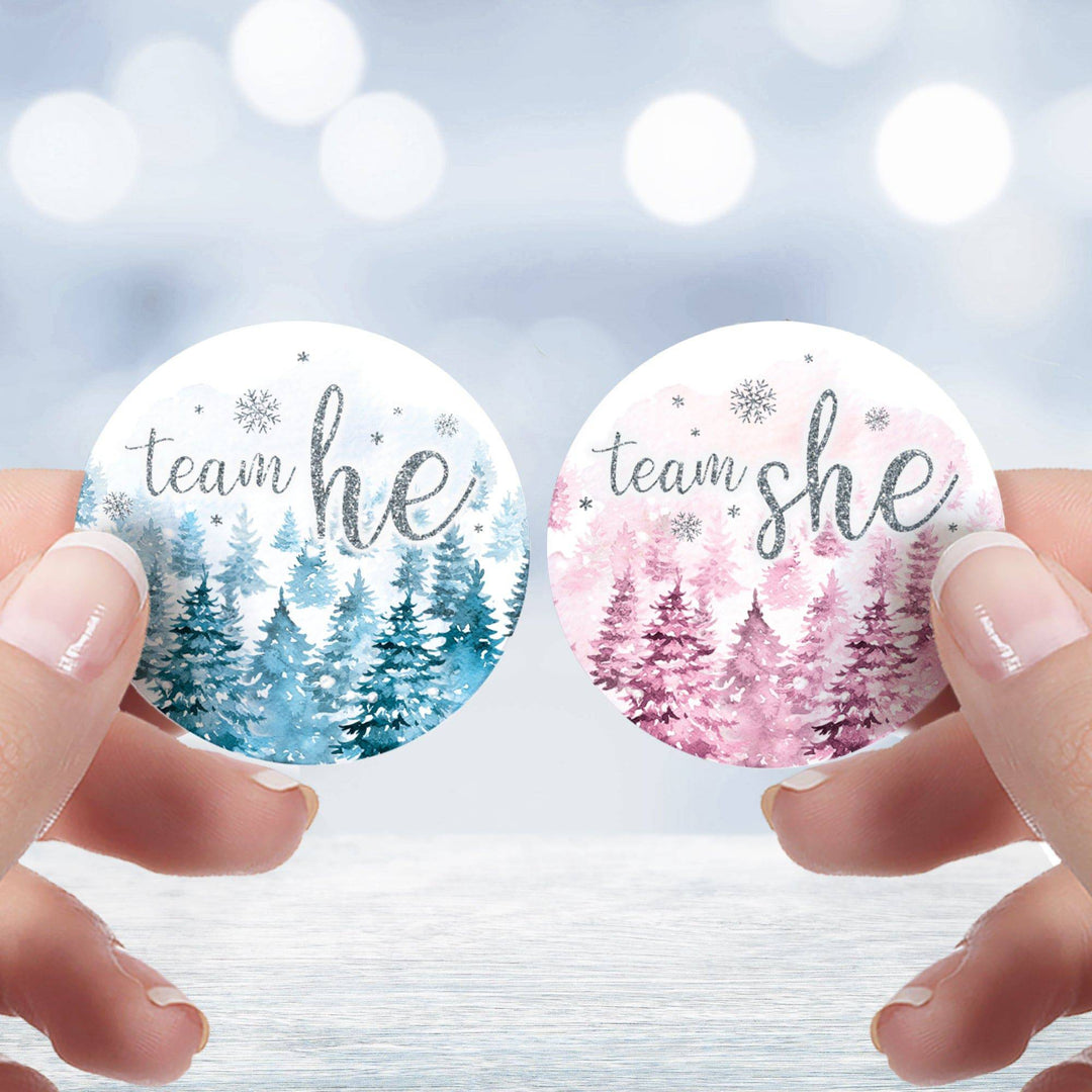 Winter Trees Evergreen: Baby Gender Reveal Party - Team He or She - 40 Stickers - Distinctivs Party
