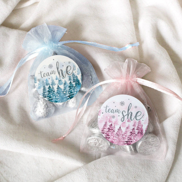Winter Trees Evergreen: Baby Gender Reveal Party - Team He or She - 40 Stickers - Distinctivs Party