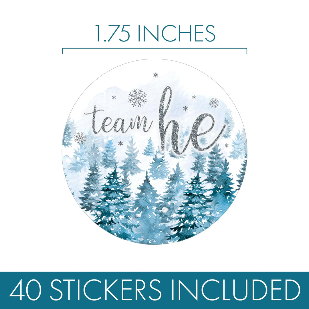Winter Trees Evergreen: Baby Gender Reveal Party - Team He or She - 40 Stickers - Distinctivs Party