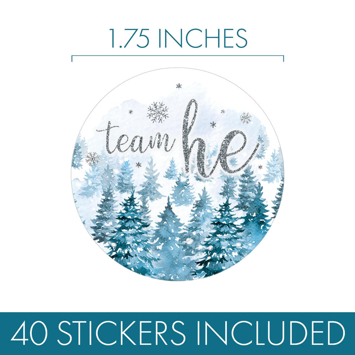 Winter Trees Evergreen: Baby Gender Reveal Party - Team He or She - 40 Stickers - Distinctivs Party