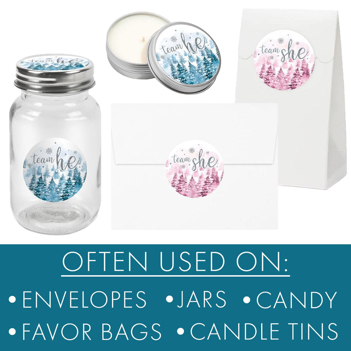 Winter Trees Evergreen: Baby Gender Reveal Party - Team He or She - 40 Stickers - Distinctivs Party