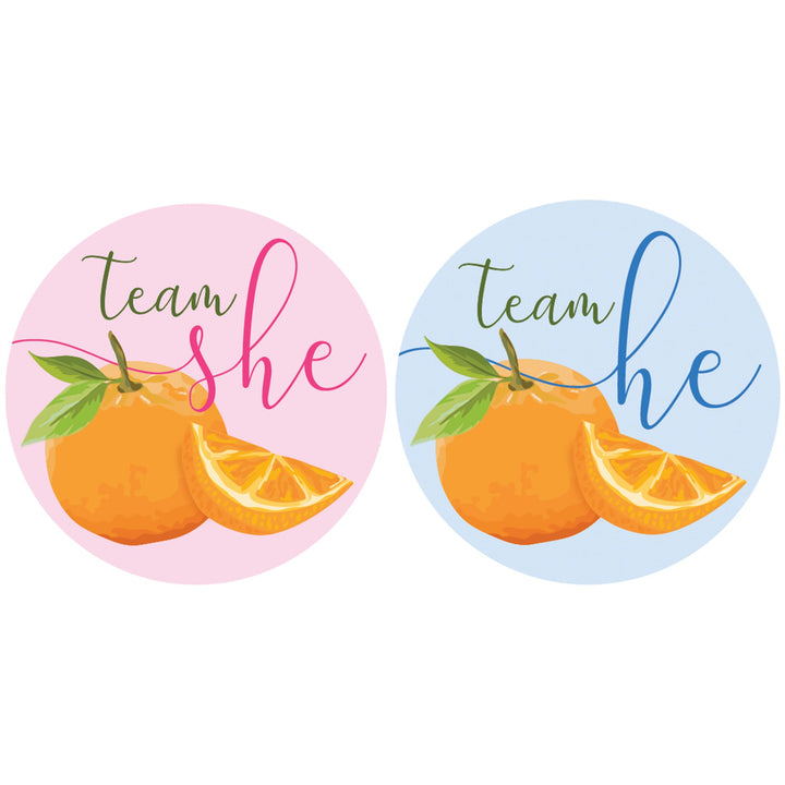 Little Cutie: Baby Gender Reveal Party - Team He or Team She Stickers - 40 Stickers