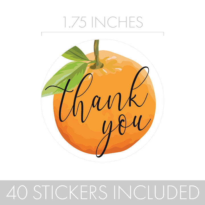 Little Cutie: Baby Shower Thank You Stickers - 40 Stickers
