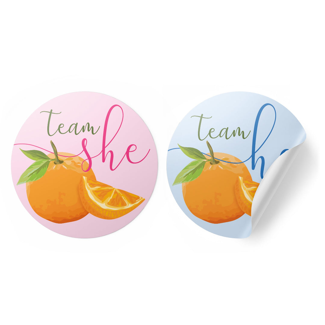 Little Cutie Orange Gender Reveal Party -Team He or Team She
