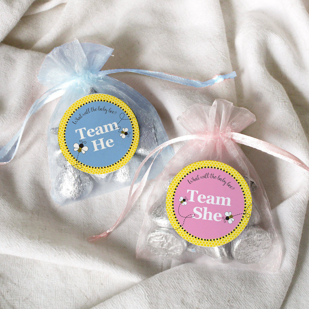 Bumble Bee: Gender Reveal Party - What Will Baby Bee Stickers -  Team She or He - 40 Stickers - Distinctivs Party