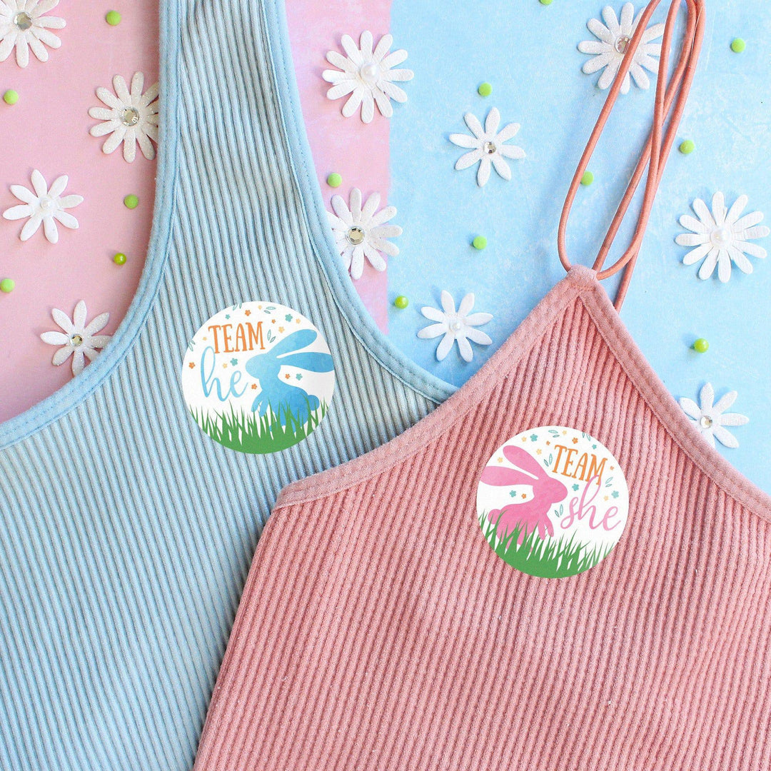 Easter Gender Reveal Party: Little Bunny -Team He or Team She Voting Stickers - 40 Stickers - Distinctivs Party
