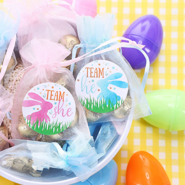 Easter Gender Reveal Party: Little Bunny -Team He or Team She Voting Stickers - 40 Stickers - Distinctivs Party
