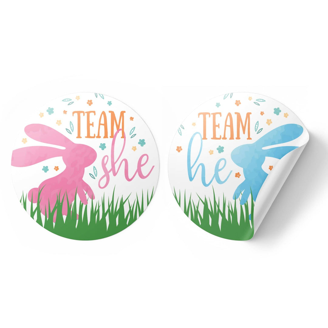 Easter Gender Reveal Party: Little Bunny -Team He or Team She Voting Stickers - 40 Stickers - Distinctivs Party