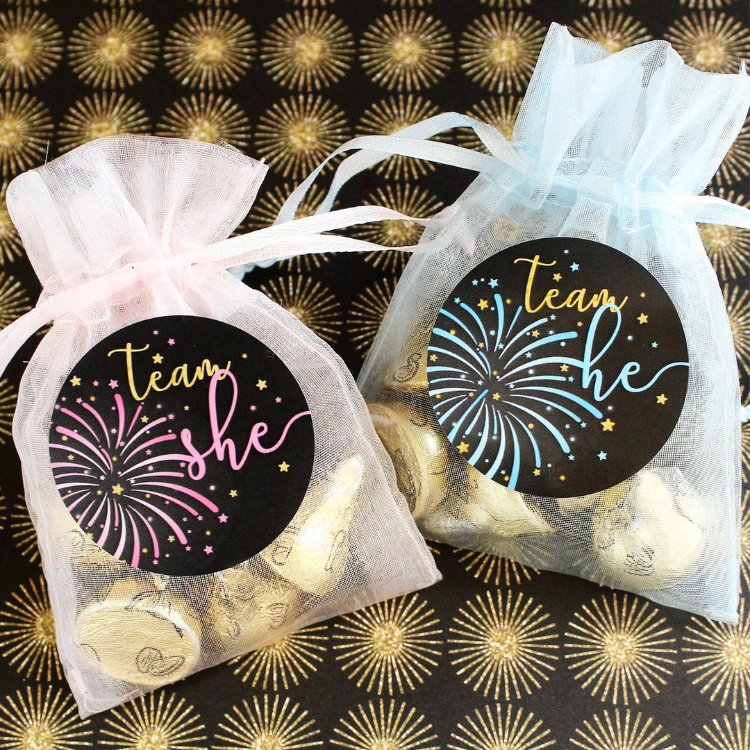 Fireworks Gender Reveal Party -Team He or Team She Stickers - 40 Stickers - Distinctivs Party