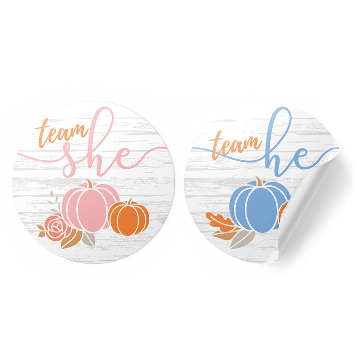 Little Pumpkin: Baby Gender Reveal Party - Team He or She Stickers - 40 Stickers - Distinctivs Party