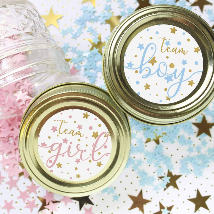 Twinkle Twinkle Little Star Gender Reveal Party - Team Boy or Girl - 40 Stickers - Distinctivs Party